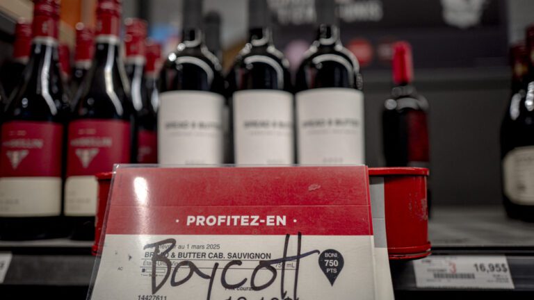 CANADA VINOS