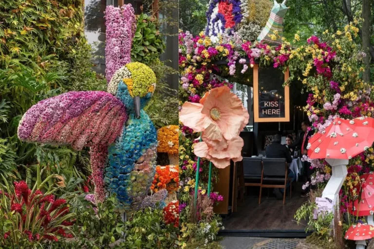 Flores