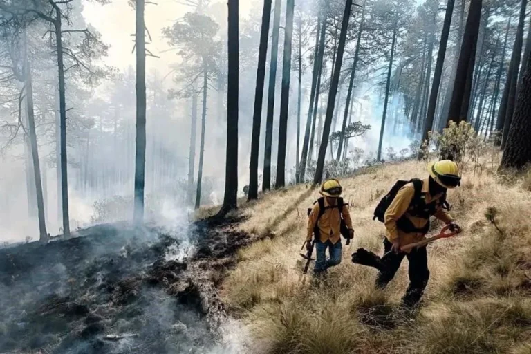 Incendio
