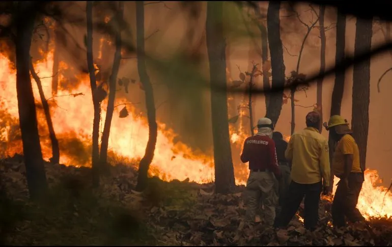 incendi0s