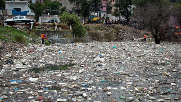 Nau-basura